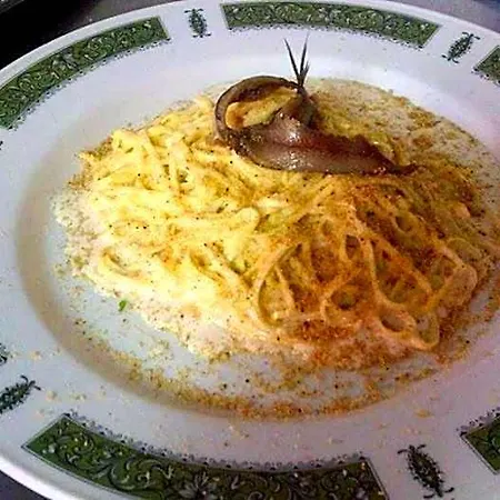 Hotel Maggiore Lesa
